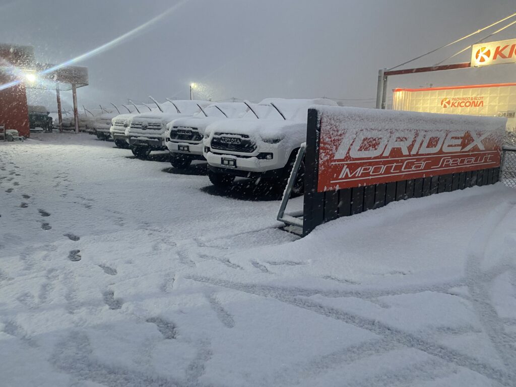 茨城にもしっかり雪が積もりました・・・・